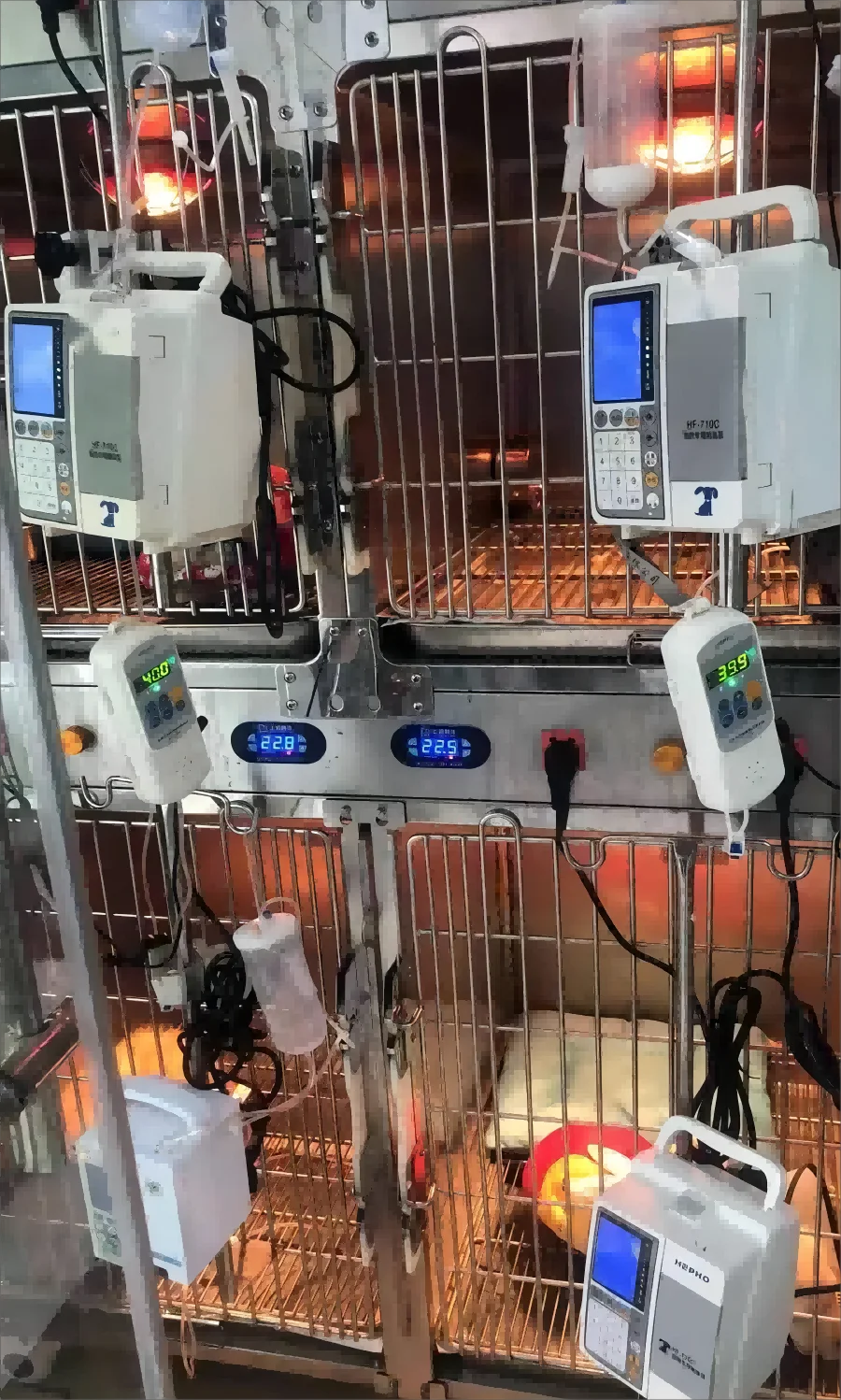 Best-Selling China Medical Fluid Warmer Cheap Blood Infusion Warmer for Veterinary Instruments