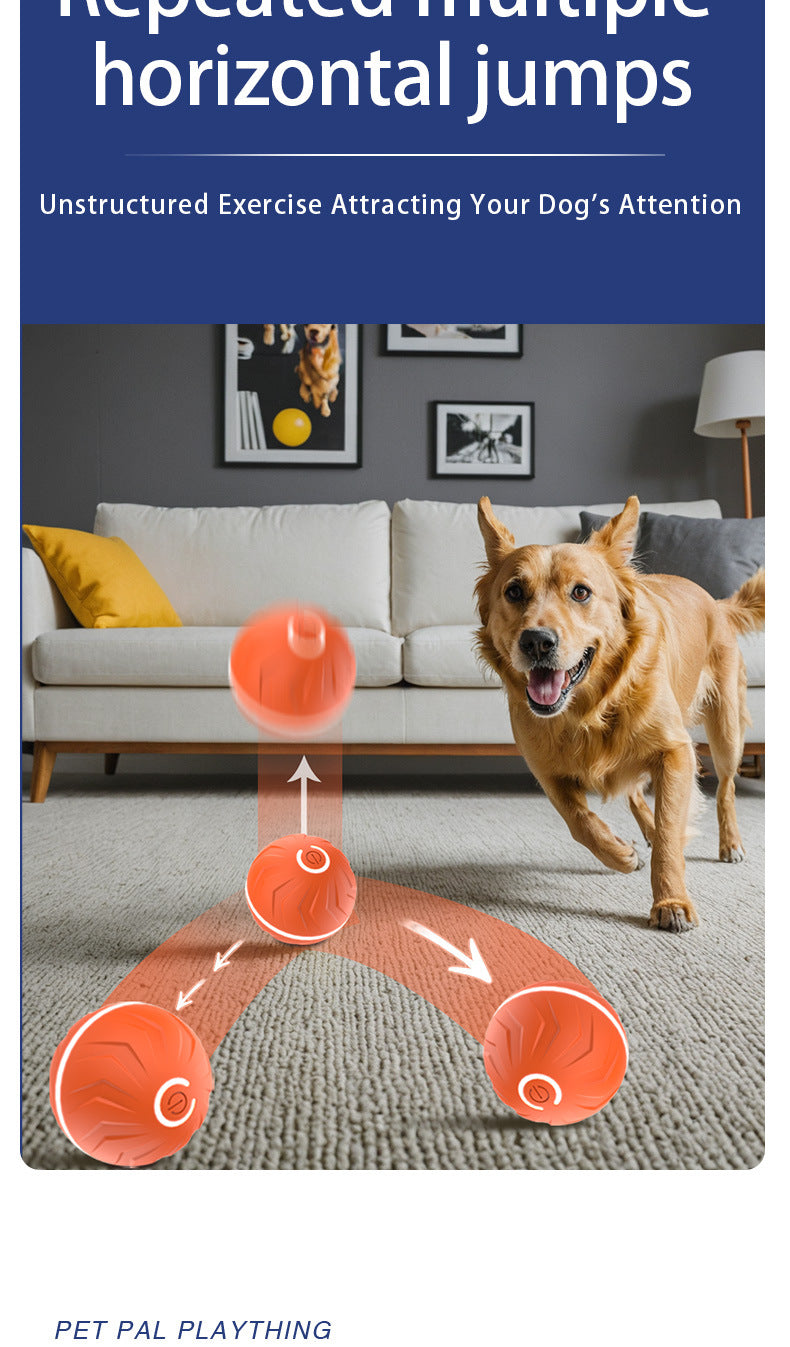 Your pet's  friend