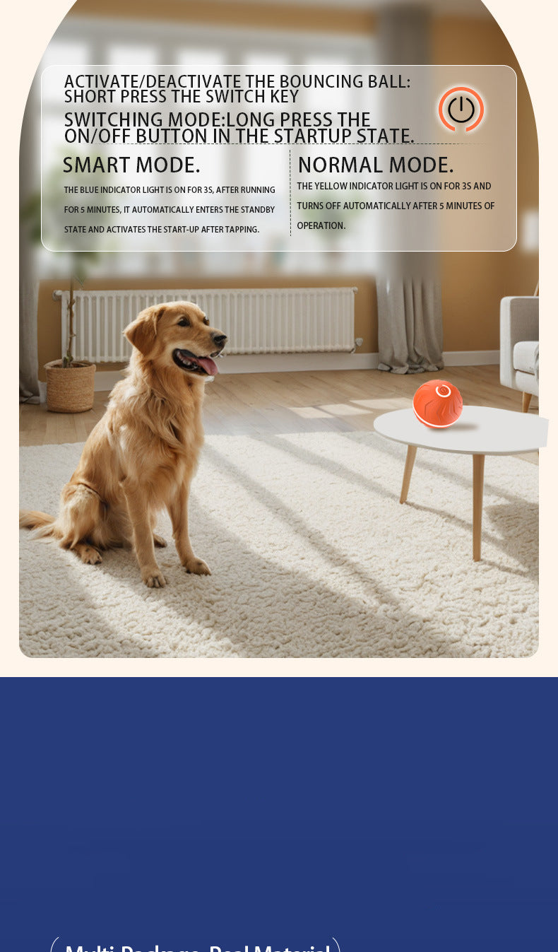 Your pet's  friend