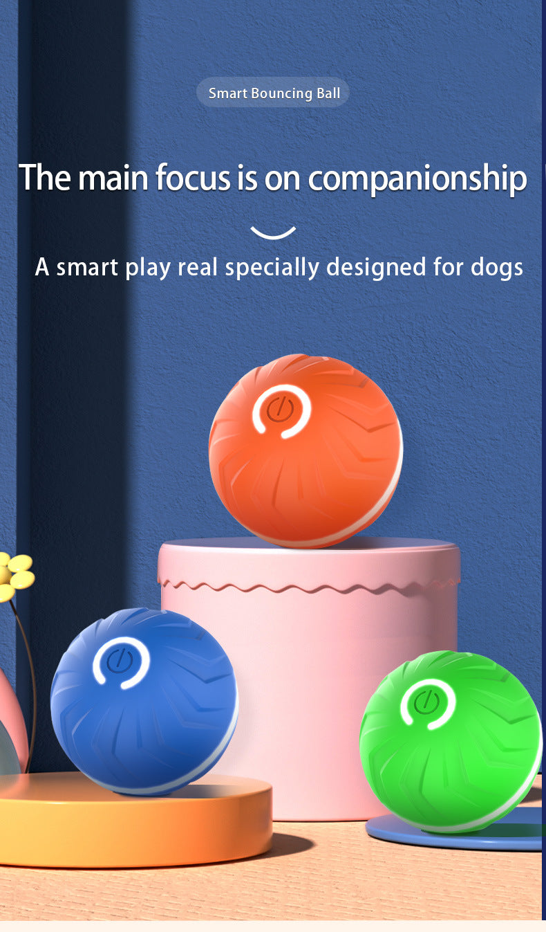 Your pet's  friend