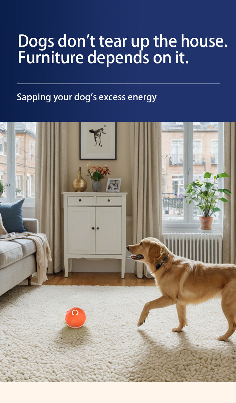 Your pet's  friend