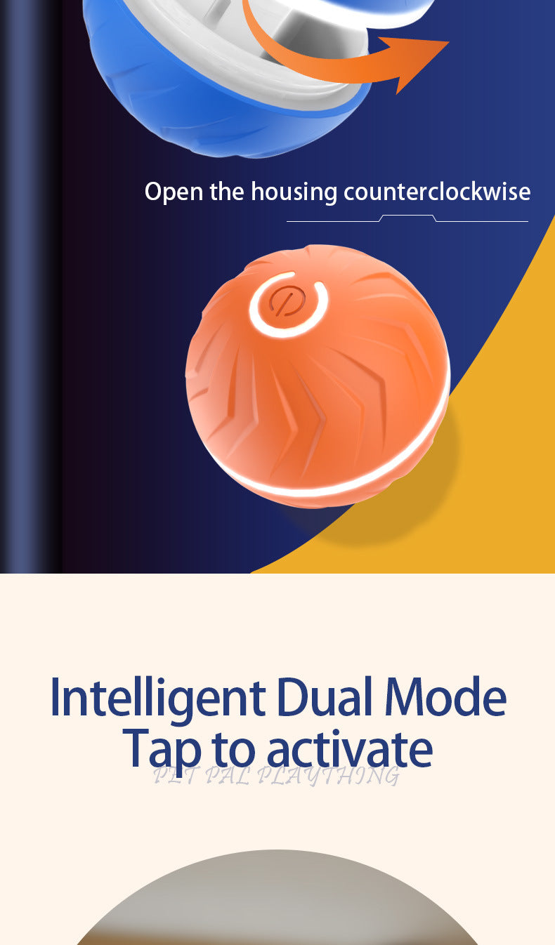 Your pet's  friend