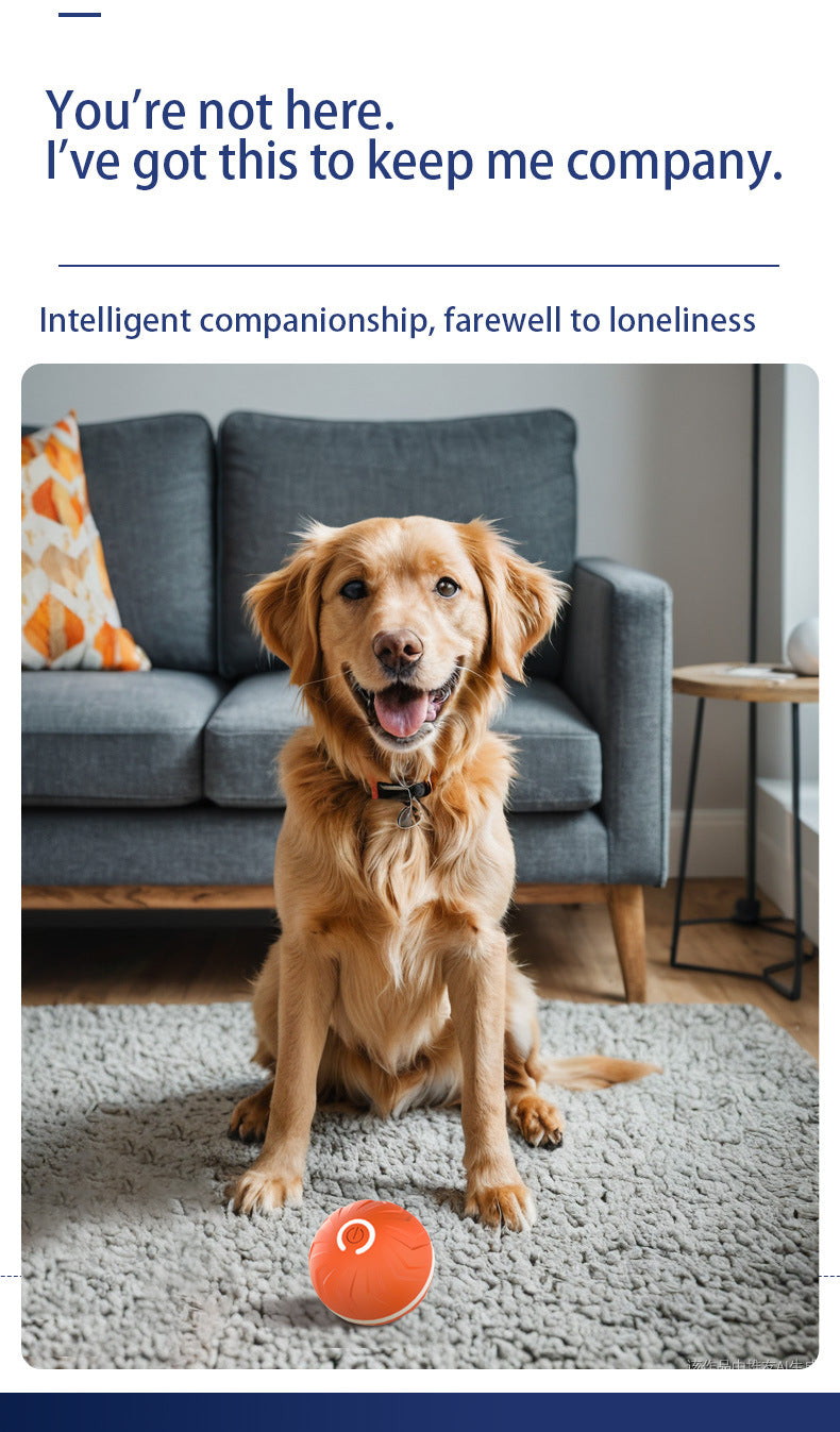 Your pet's  friend