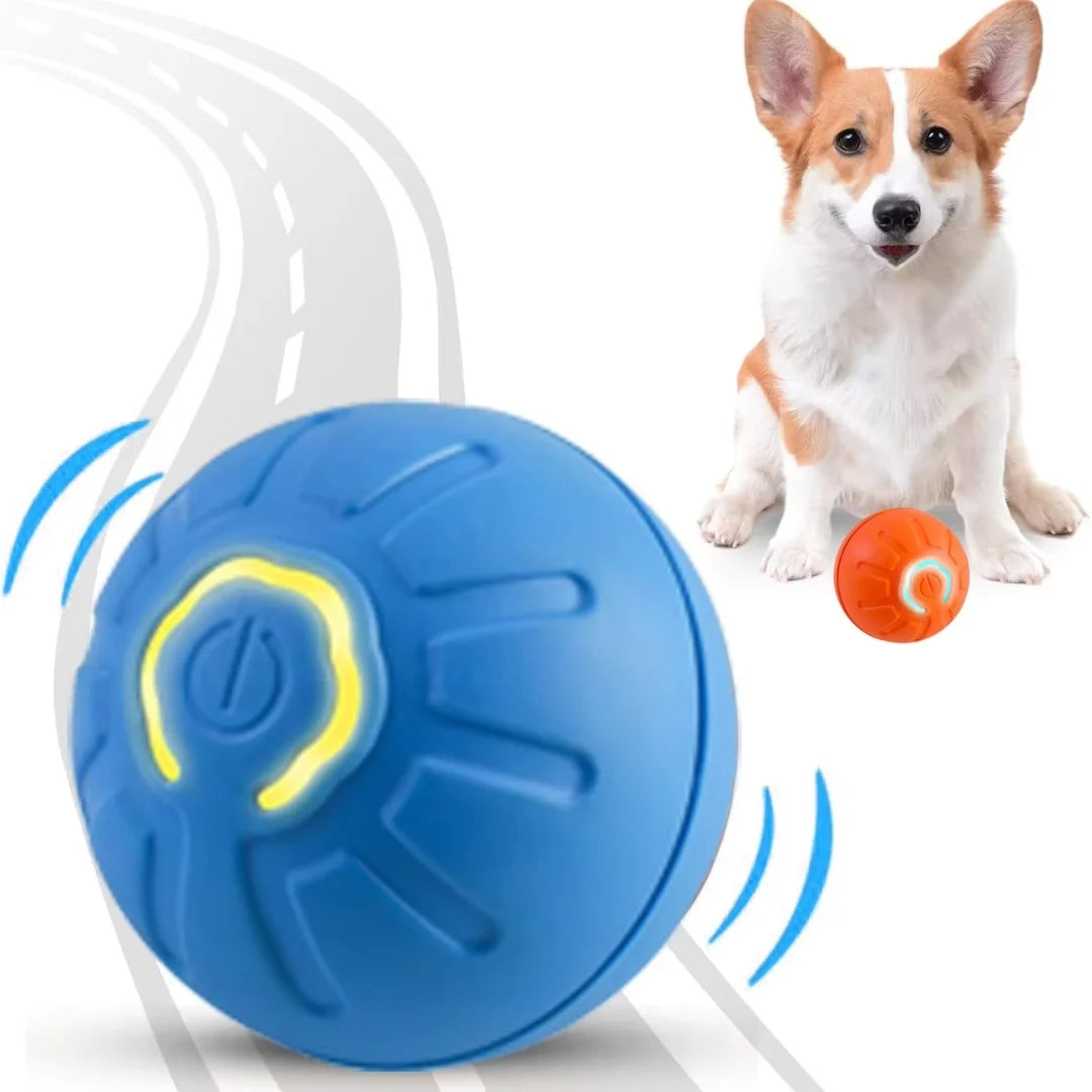 the best for your pet