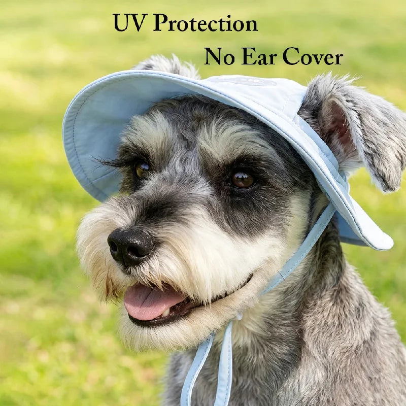 Pet Dog Summer Cooling Vest with Cap Breathable Mesh Sun Protective Shirt for Dogs&Cats Lightweight Outdoor Pet Clothes Set