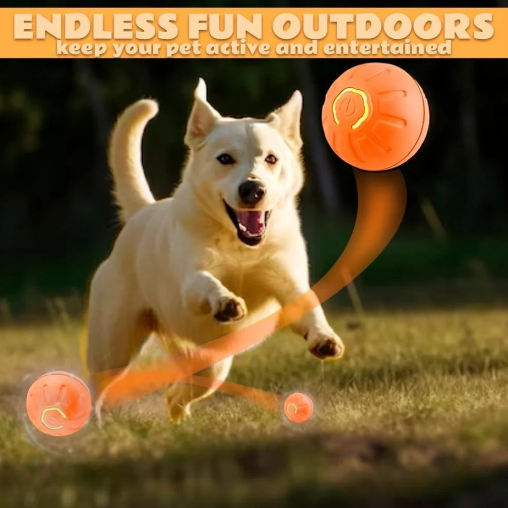the best for your pet