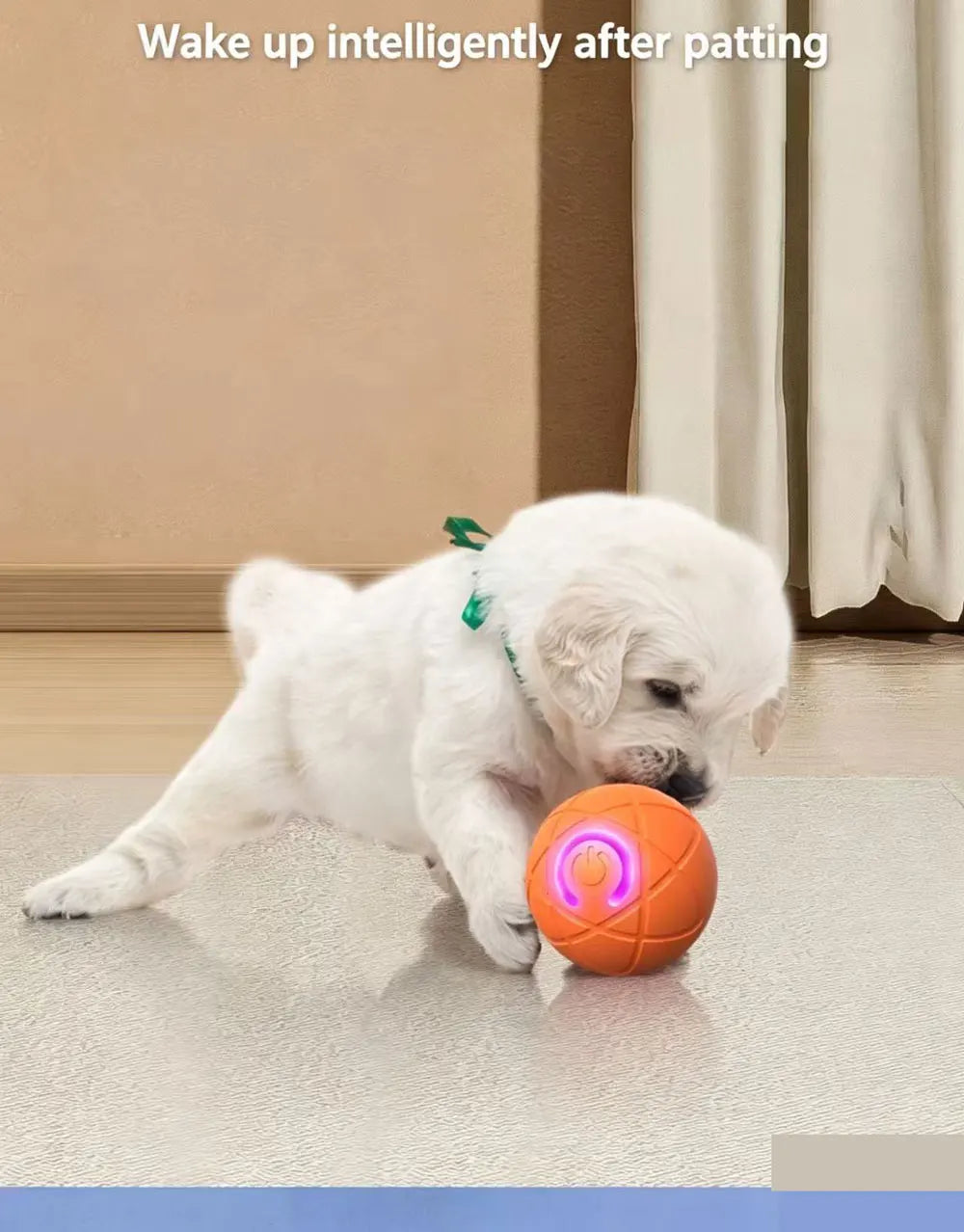 The best for your pet.