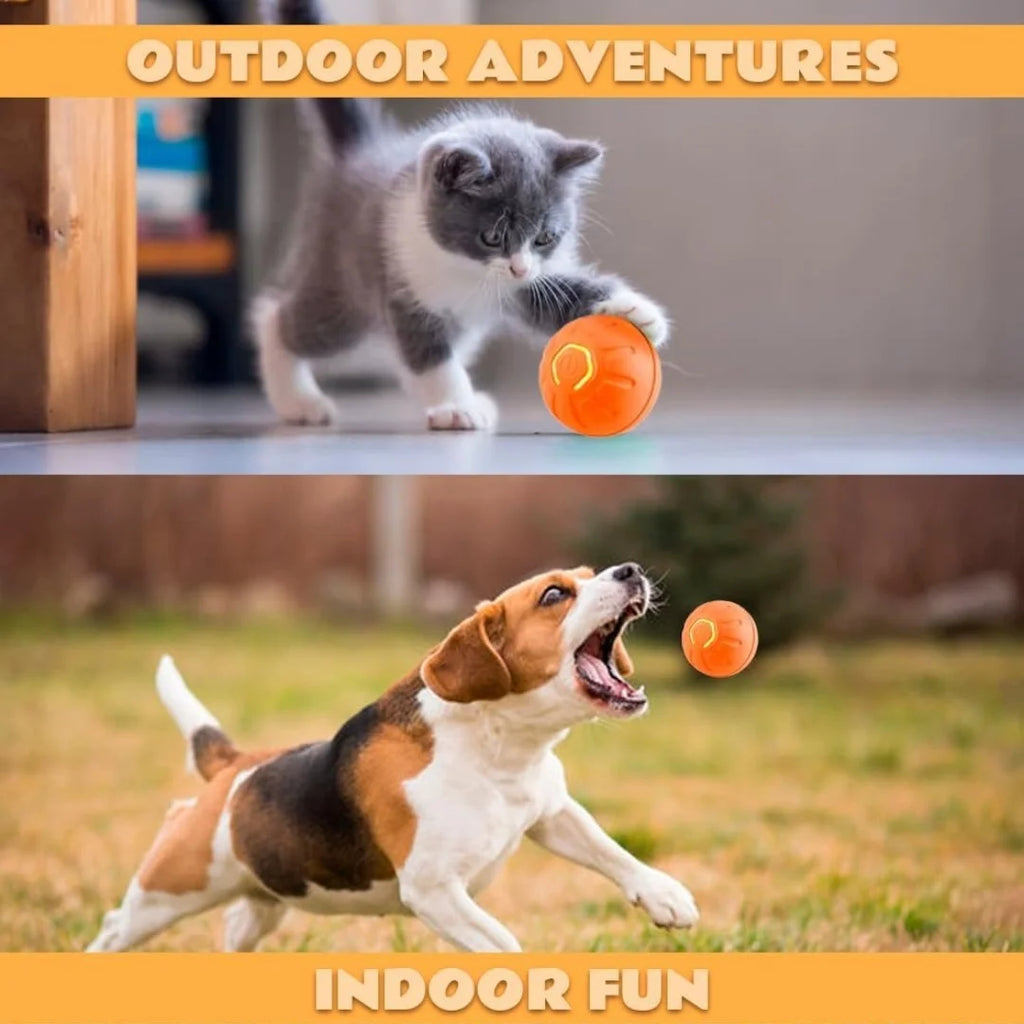 the best for your pet