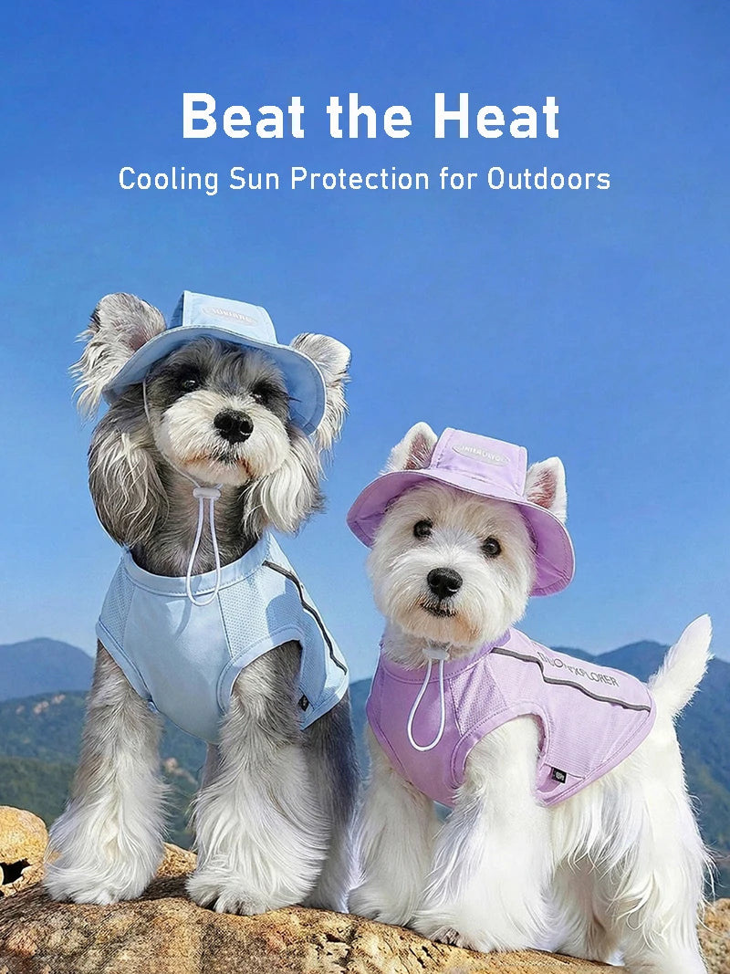 Pet Dog Summer Cooling Vest with Cap Breathable Mesh Sun Protective Shirt for Dogs&Cats Lightweight Outdoor Pet Clothes Set