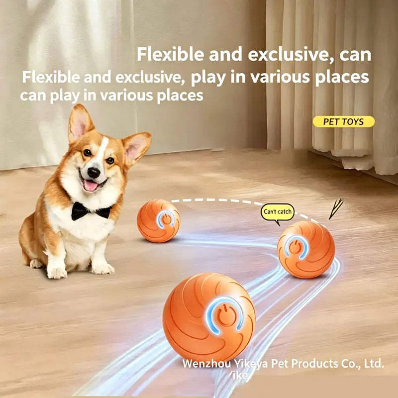 The best for your pet.