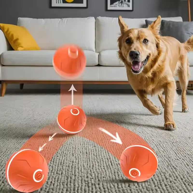 Your pet's  friend
