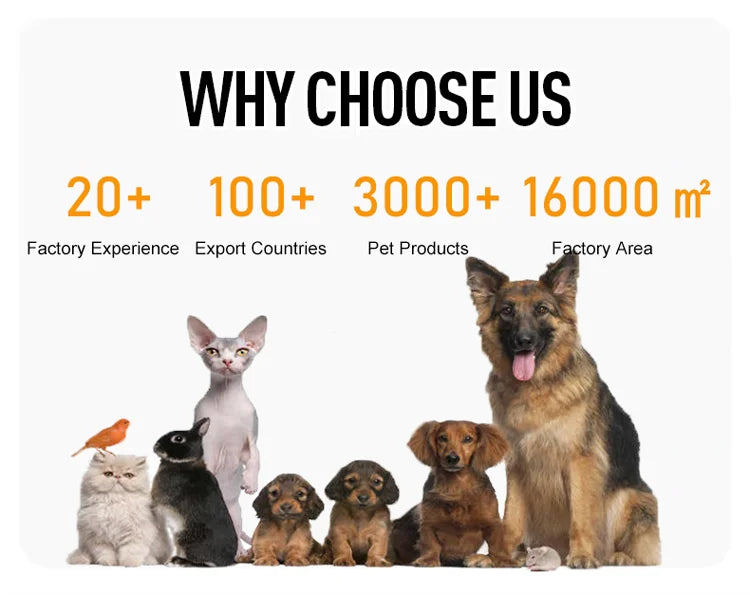Pet Training Communication Talking Tools Voice Record Cats Dogs Press Buzzer Button Toy Pet Speaking Toys
