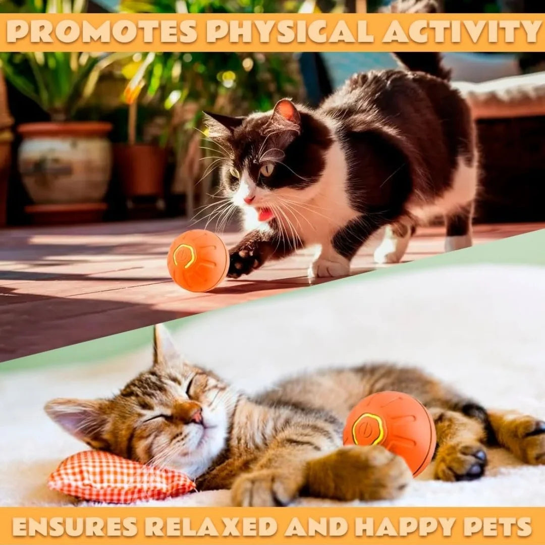 the best for your pet