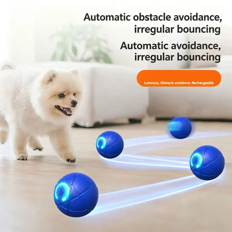 The best for your pet.