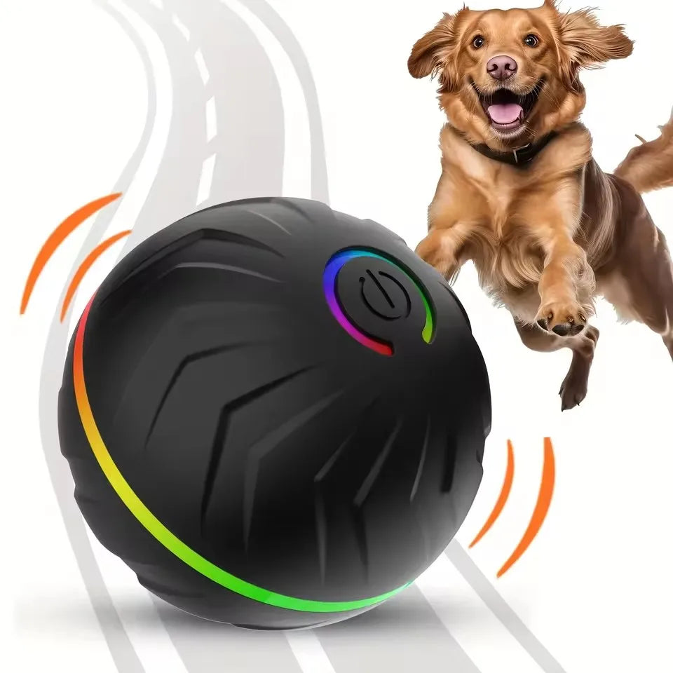 Your pet's  friend