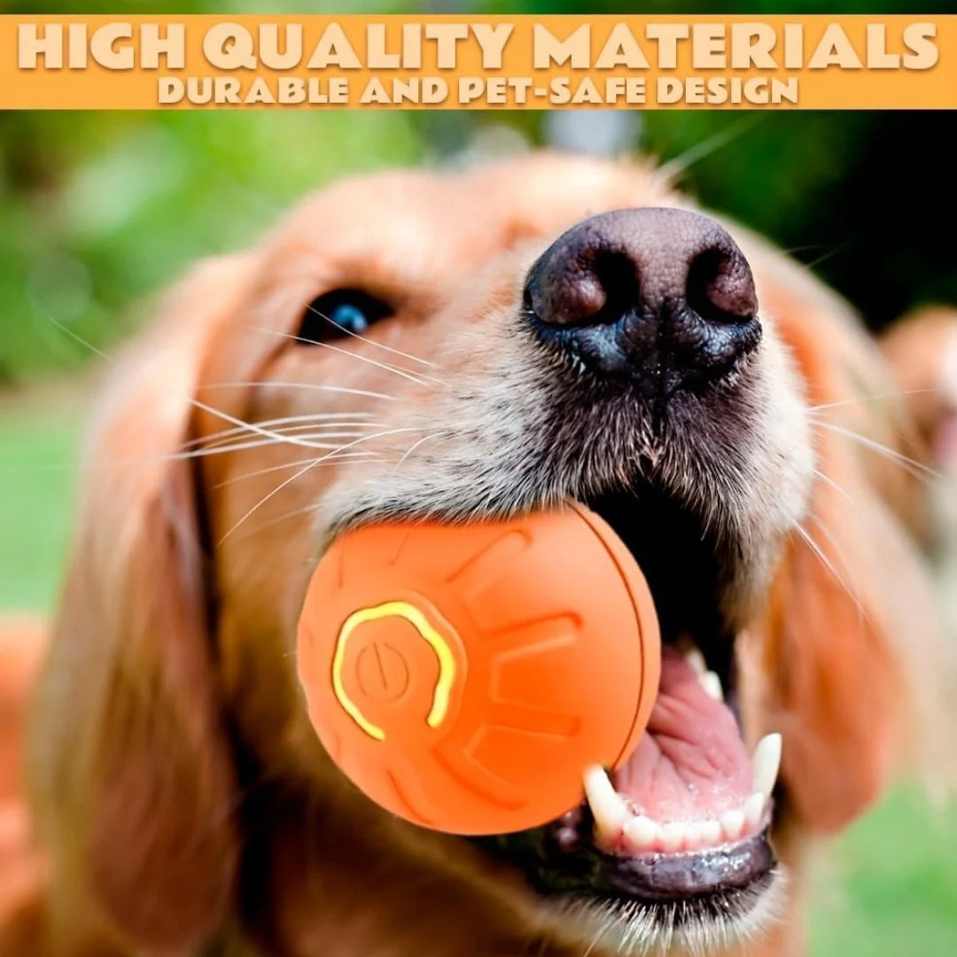 the best for your pet