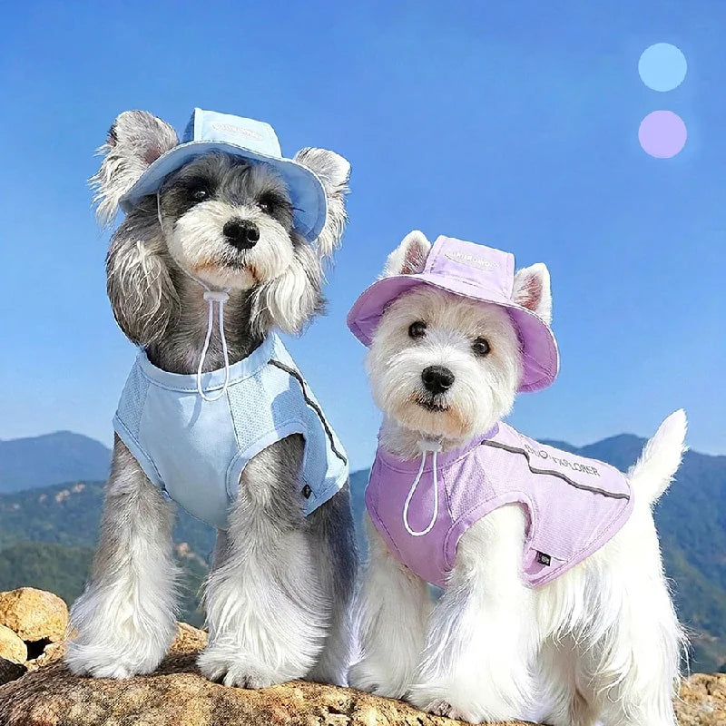 Pet Dog Summer Cooling Vest with Cap Breathable Mesh Sun Protective Shirt for Dogs&Cats Lightweight Outdoor Pet Clothes Set