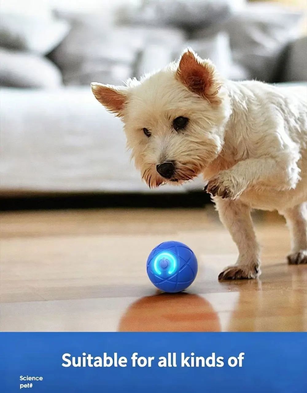 The best for your pet.